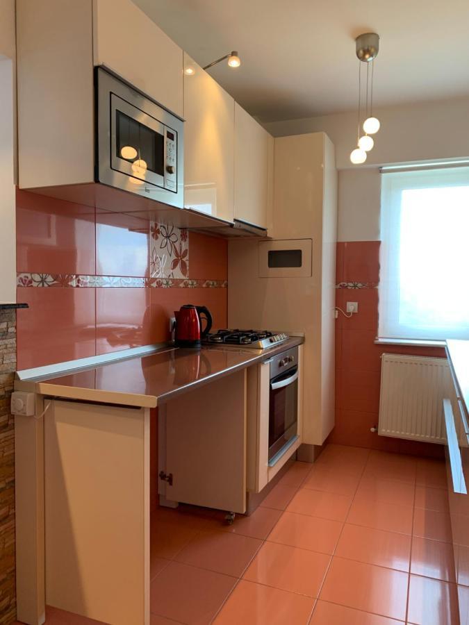 Sunny Central Apartments Suceava Dış mekan fotoğraf